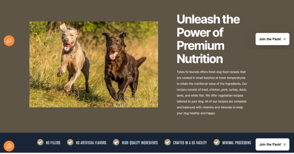 Tykesn hounds Techandbell soultions